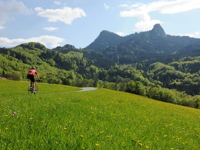 Übernachten auf dem Bauernhof und Mountainbiken und radfahren rund um den Chiemsee  