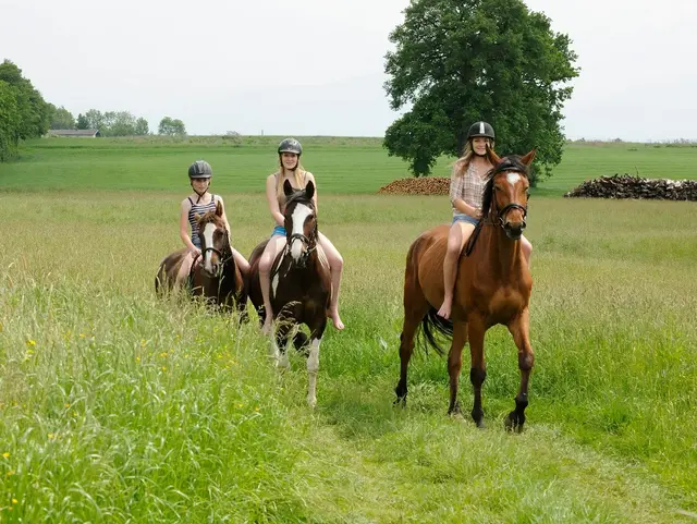 Ausritt mit den Pferden auf dem Bauernhof in der Region Chiemsee