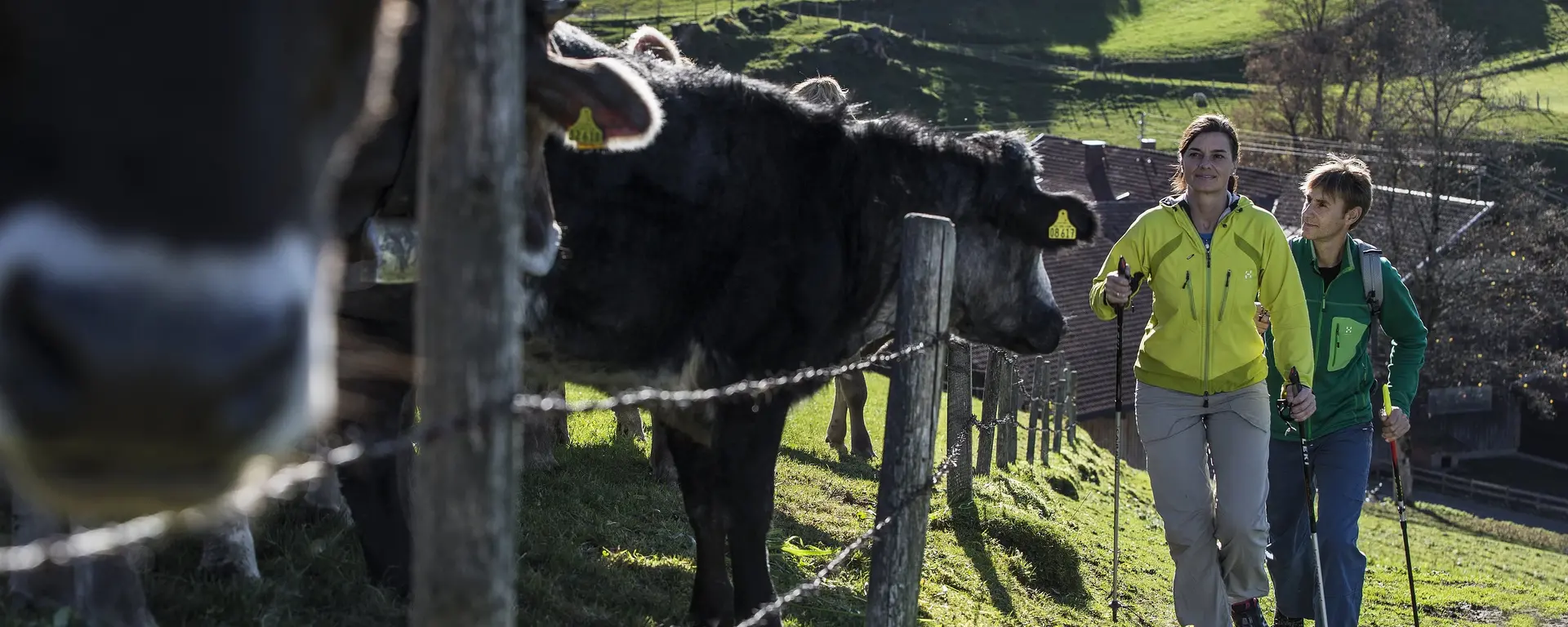 Wanderurlaub auf dem Bauernhof in Bayern