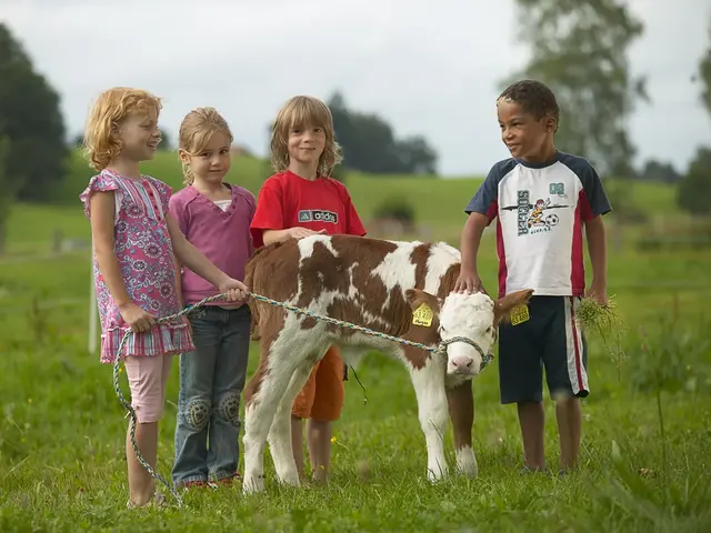 Familienurlaub auf dem Bauernhof